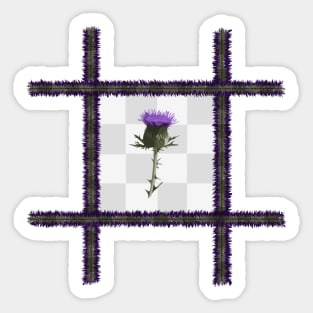 Tartan Thistle on a Chequered Background Sticker